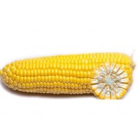 Кукуруза сахарная GSS3071 F1 100 000 шт (Syngenta)
