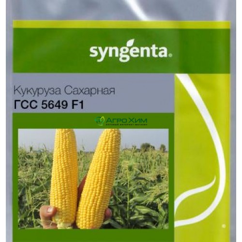 Кукуруза сахарная ГСС5649 F1 100 000 шт (Syngenta)