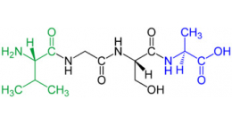 Пептиды