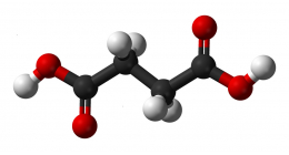 Янтарная кислота