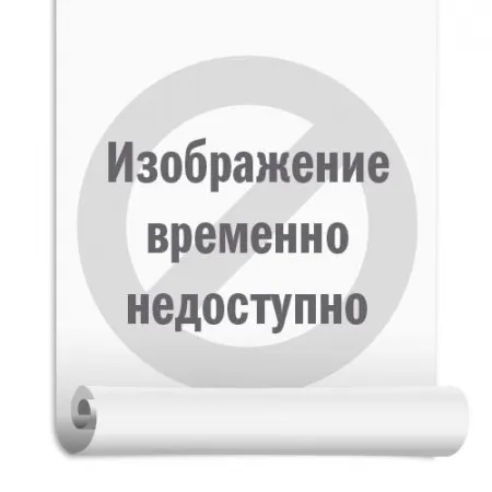 Томат Сімейний Сад рожевий F1 10 шт - Насіння