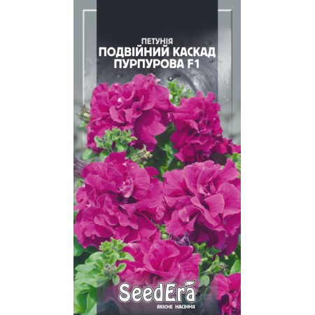 Петунія бахромчаста великоквіткова низькоросла Подвійний Каскад Пурпурова F1 10 шт (Чехия)