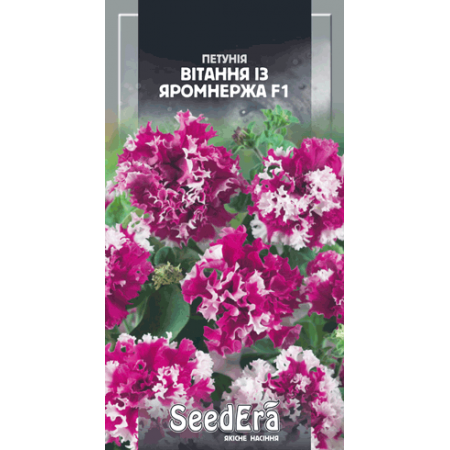 Петунія бахромчаста великоквіткова низькоросла Вітання із Яромнержа F1 10 шт (Чехія)