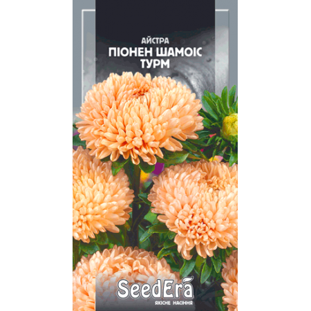 Айстра високоросла Піонен Шамоіс Турм 0,25 г