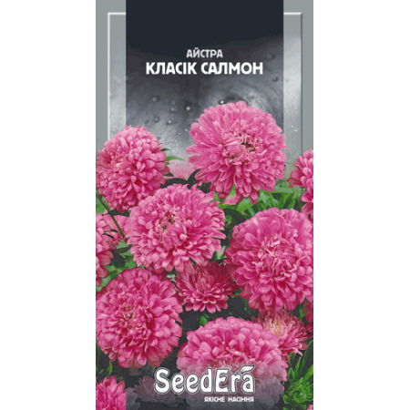 Астра низкорослая Классик Салмон 0,25 г