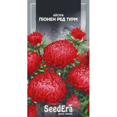 Айстра високоросла Піонен Ред Турм 0,25 г - Насіння