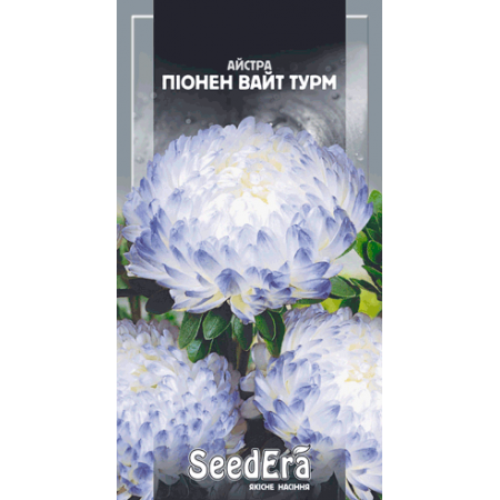 Айстра високоросла Піонен Вайт Турм 0,25 г