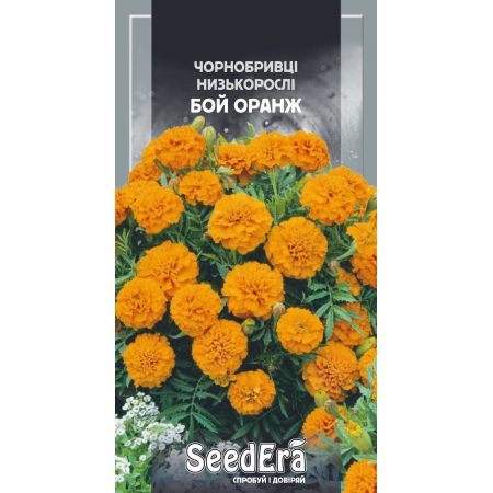 Чорнобривці низькорослі Бой Оранж Seedera, 0,3 г