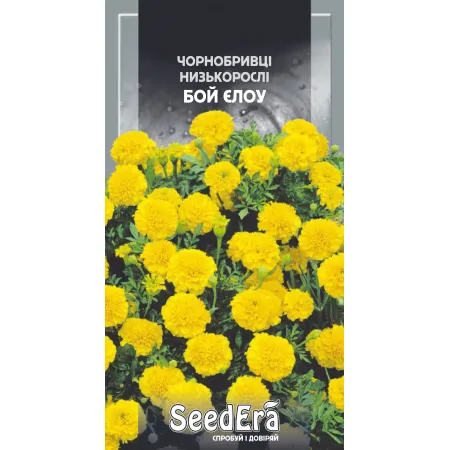 Чорнобривці низькорослі Бой Єлоу 0,3 г - Насіння