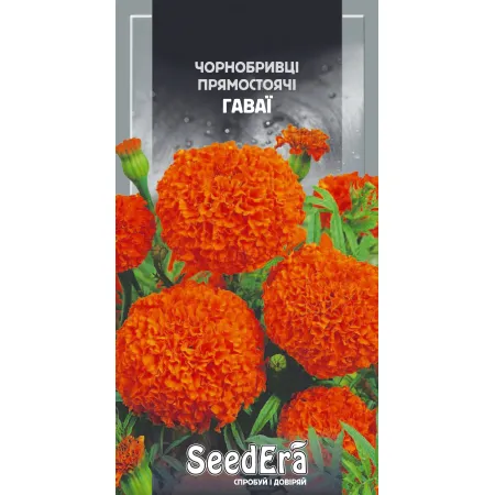 Чорнобривці прямостоячі високорослі Гаваї Seedera, 0,5 г - Насіння