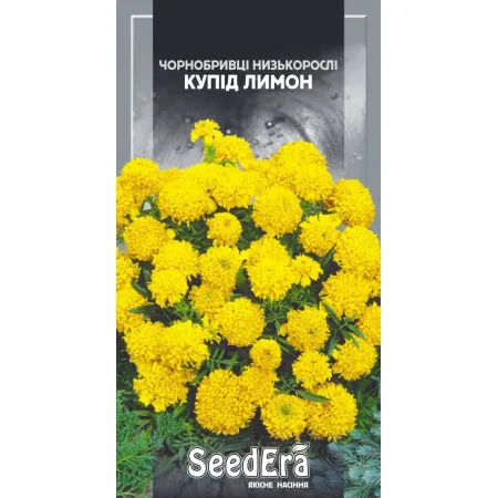 Чорнобривці Купід Лимон 0,5 г - Насіння