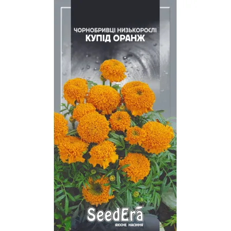 Чорнобривці Купід Оранж 0,5 г - Насіння