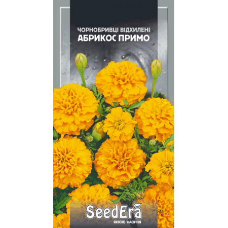 Чорнобривці відхилені Абрикос Примо 0,5 г