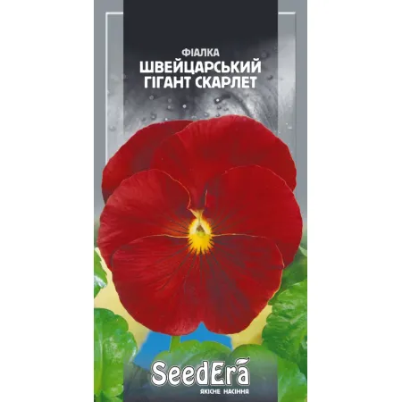 Фіалка садова Швейцарський гігант Скарлет дворічна 0,1 г - Насіння