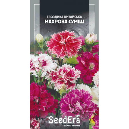 Гвоздика китайська Махрова Суміш однорічна 0,2 г