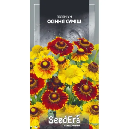 Геленіум Осіння Суміш багаторічний 0,1 г - Насіння