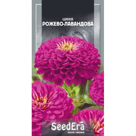 Цинія високоросла елегантна Рожево-Лавандова 0,5 г - Насіння