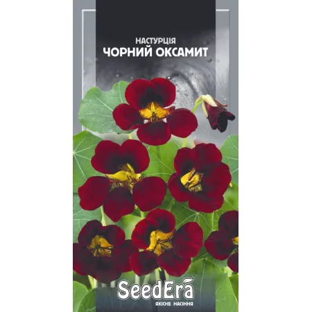 Настурція культурна Чорний Оксамит 1 г - Насіння - Сторінка 116