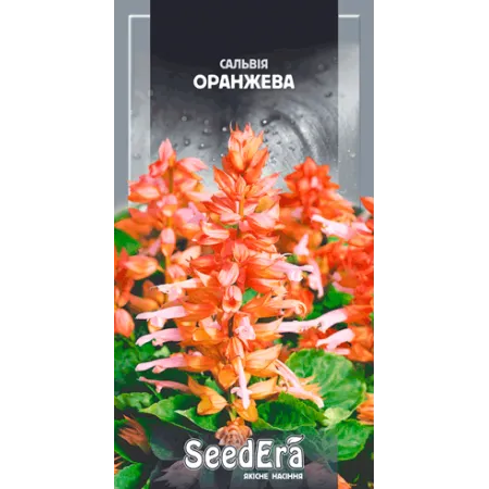 Сальвія сплендес Оранжева 0,2 г - Насіння - Сторінка 130