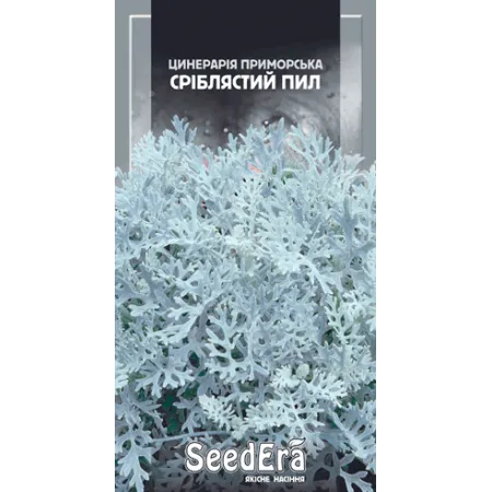 Цинерарія приморська Сріблястий Пил 0,1 г - Насіння - Сторінка 141