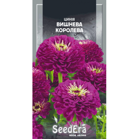 Цинія високоросла елегантна Вишнева Королева 0,5 г