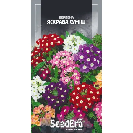 Вербена гібридна Яскрава Суміш 0,2 г - Насіння