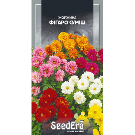 Жоржина мінлива Фігаро суміш 0,5 г