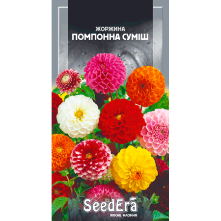 Жоржина мінлива Помпонна суміш 0,5 г