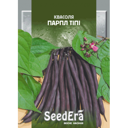Квасоля спаржева кущова Парпл Тіпі 20 г
