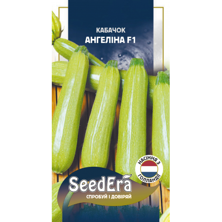 Кабачок Ангелина F1 10 шт (Syngenta)