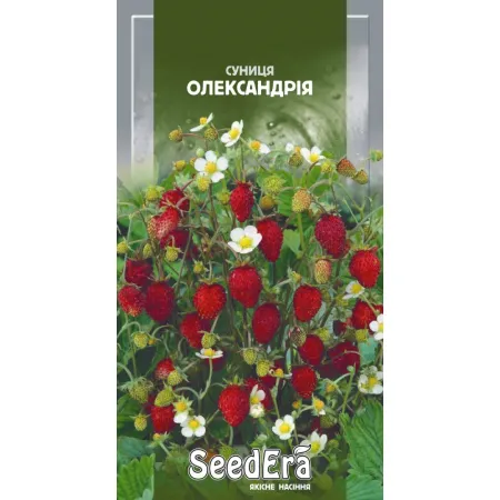 Суниця Олександрія 0,05 г - Насіння