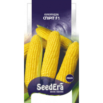 Кукурудза цукрова Спіріт F1 20 шт (Syngenta) - Насіння