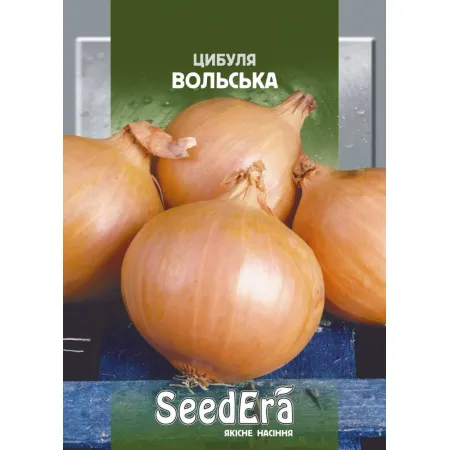 Цибуля ріпчаста Вольська 2 г - Насіння