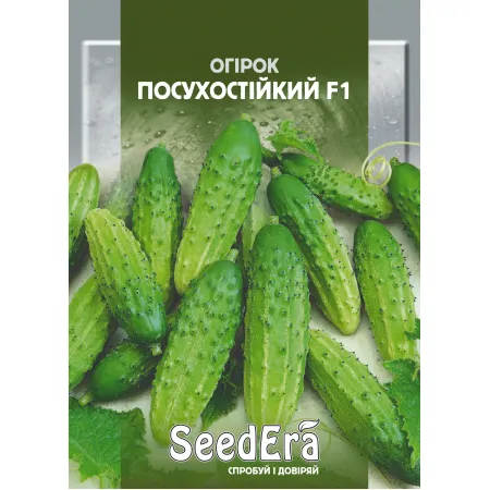 Огірок Посухостійкий F1 5 г - Насіння