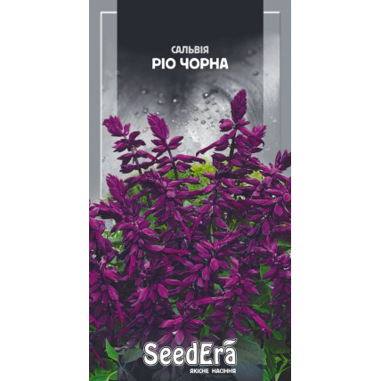 Сальвия блестящая Рио Черная 0,2 г - Семена - Страница 59