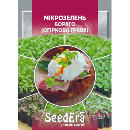 Мікрозелень Бораго (Огіркова трава) 10 г