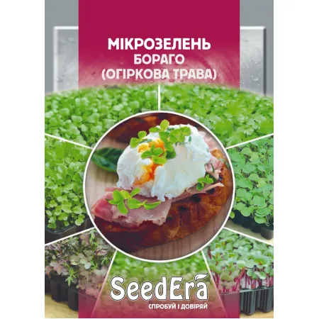 Микрозелень Бораго (Огуречная трава) 10 г - Семена - Страница 33