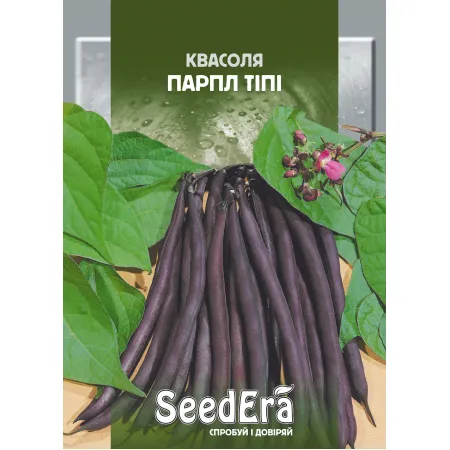 Квасоля спаржева кущова Парпл Тіпі 20 г - Насіння