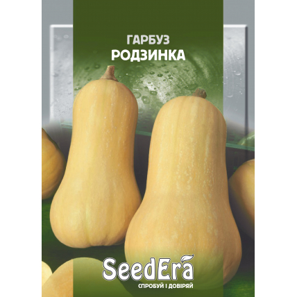 Гарбуз Родзинка 2 г - Насіння