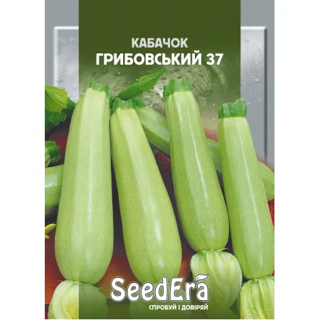 Кабачок Грибовський 37 20 г - Насіння