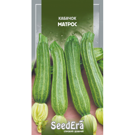 Кабачок Матрос (цукини) 10 г