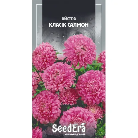 Айстра низькоросла Класік Салмон 0,25 г - Насіння