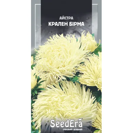 Айстра високоросла Крален Бірма 0,25 г - Насіння