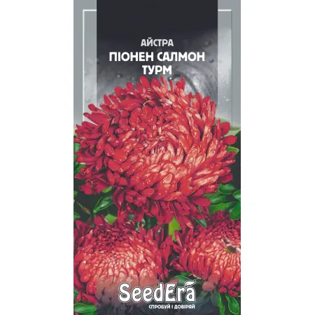 Айстра високоросла Піонен Салмон Турм 0,25 г - Насіння