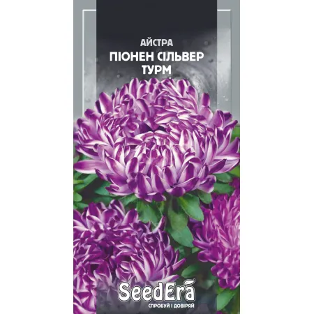 Айстра високоросла Піонен Сільвер Турм 0,25 г - Насіння