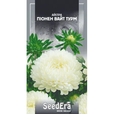 Айстра високоросла Піонен Вайт Турм 0,25 г - Насіння