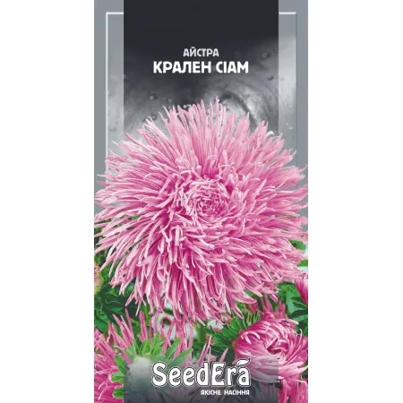 Айстра високоросла Крален Сіам 0,25 г - Насіння