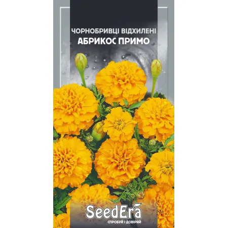 Чорнобривці відхилені Абрикос Примо 0,5 г - Насіння