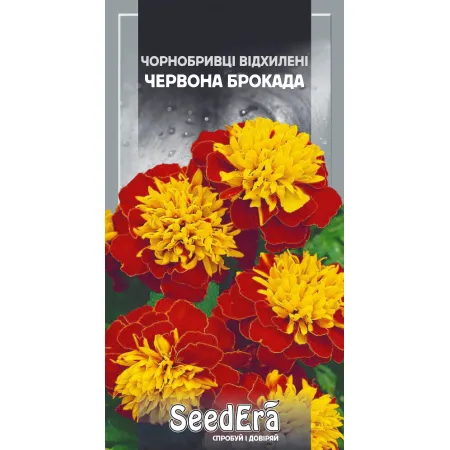 Чорнобривці відхилені Червона Брокада 0,5 г - Насіння