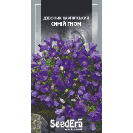 Дзвоник карпатський Синій Гном багаторічний 0,1 г - Насіння